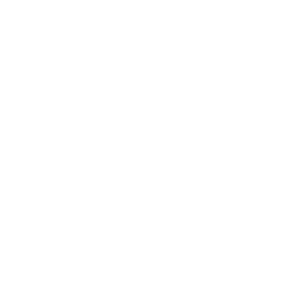 Università degli Studi di Firenze Logo